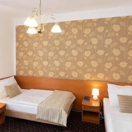 Novomestsky Hotel Praag