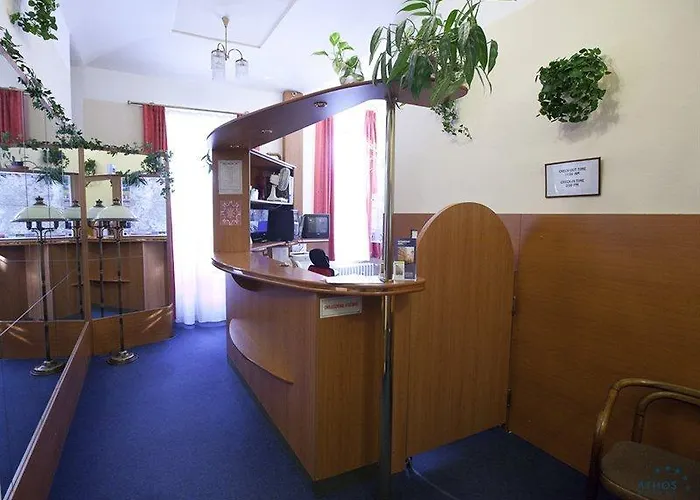 Hotel Novomestsky
